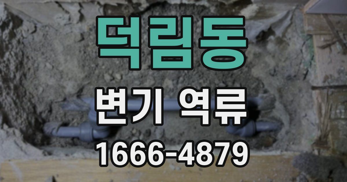 덕림동 변기 역류