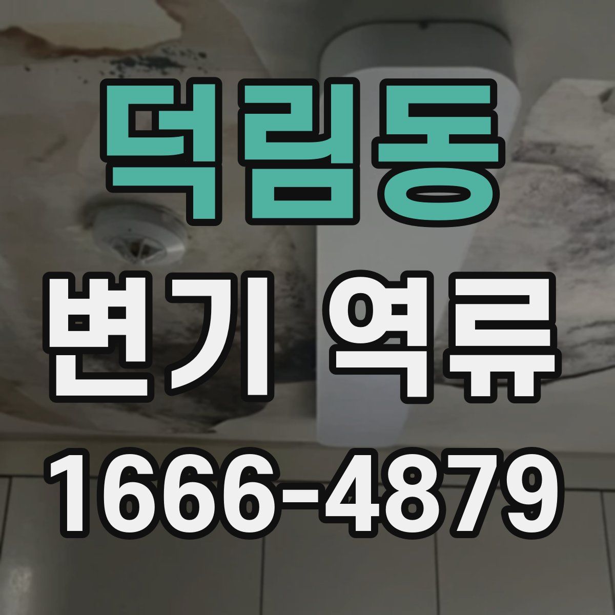 덕림동 변기 역류