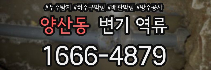 양산동 변기 역류