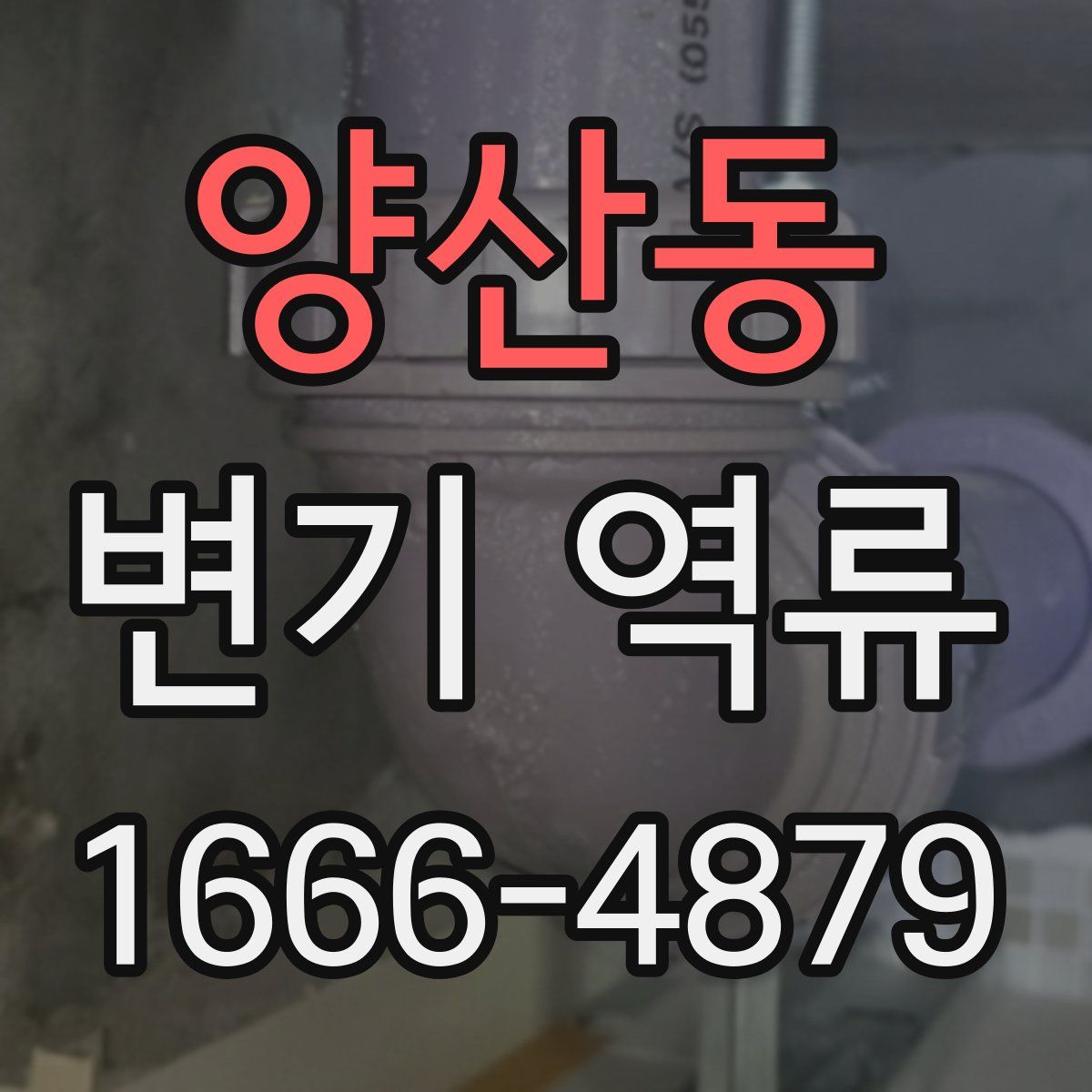 양산동 변기 역류