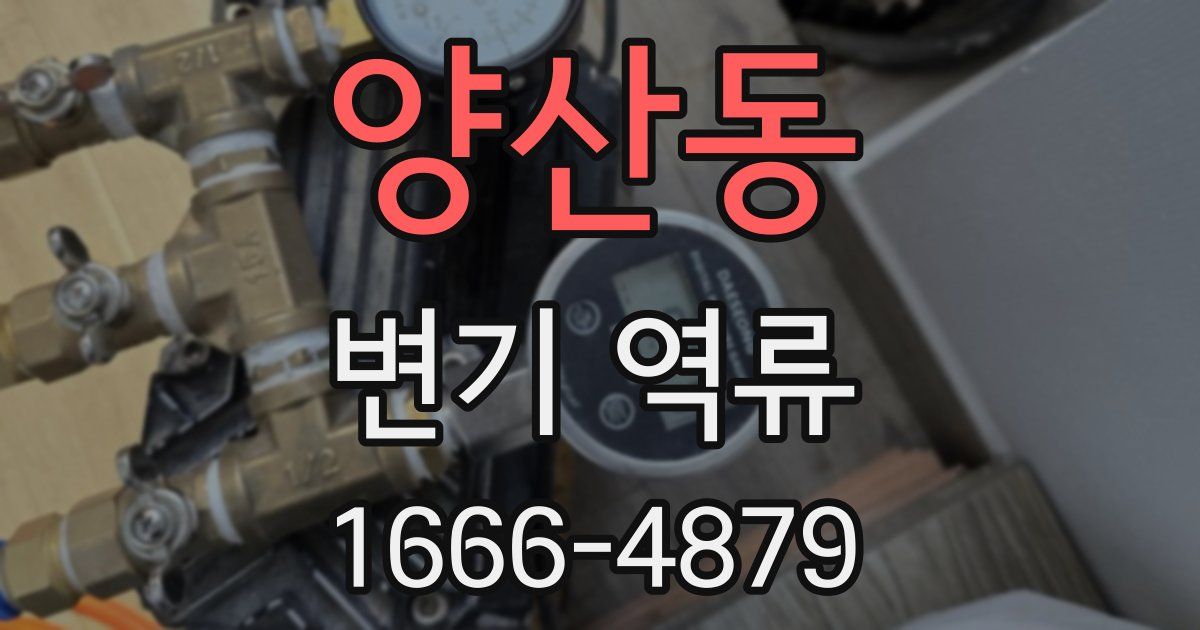 양산동 변기 역류