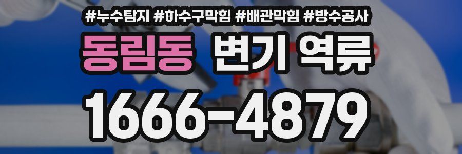동림동 변기 역류