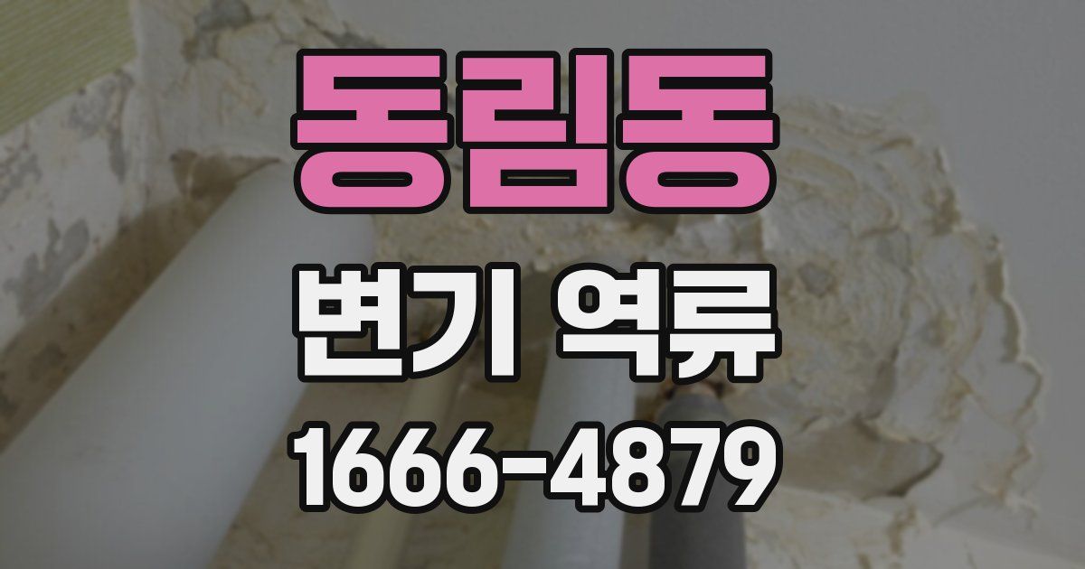 동림동 변기 역류