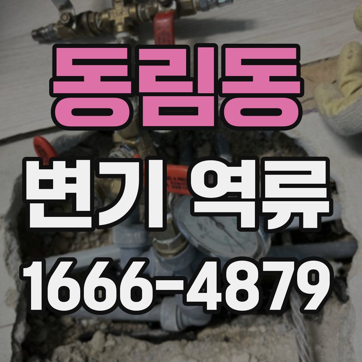 동림동 변기 역류