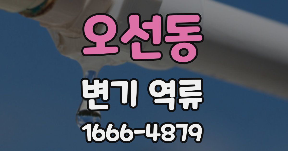 오선동 변기 역류