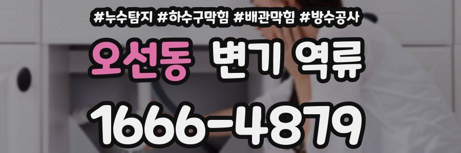 오선동 변기 역류