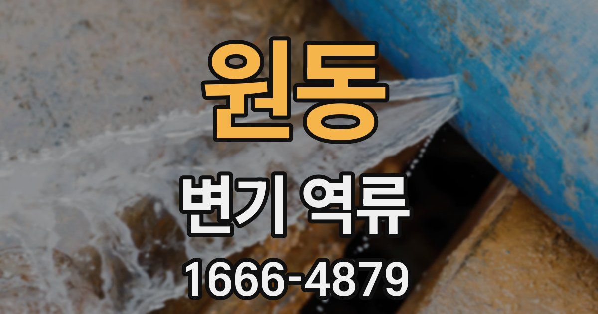 원동 변기 역류