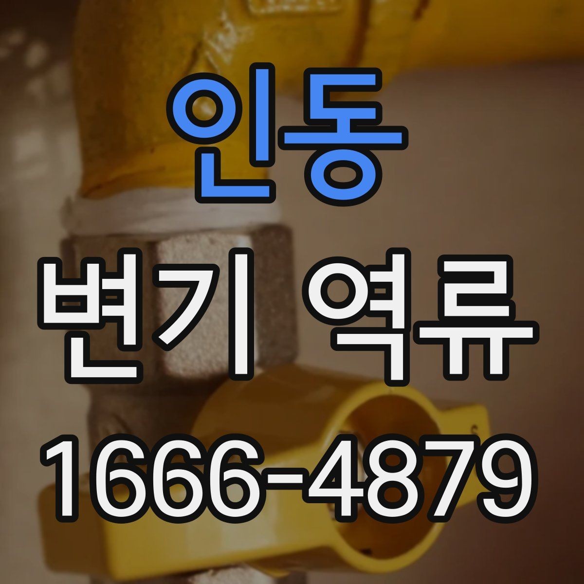 인동 변기 역류 원인 파악을 위한 기본 점검