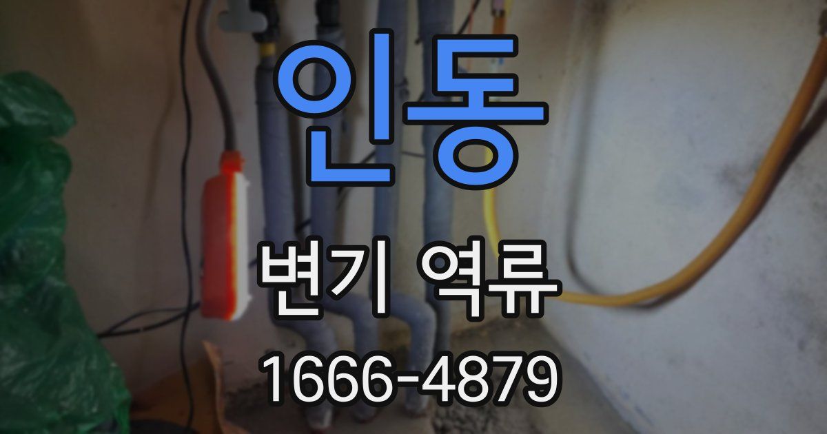 인동 변기 역류