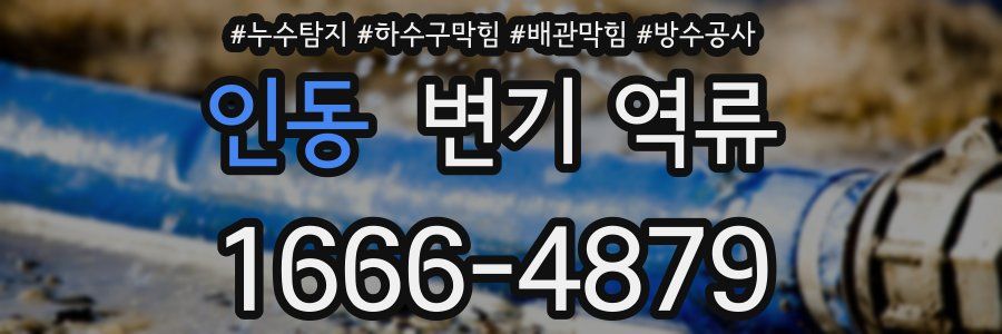 인동 변기 역류