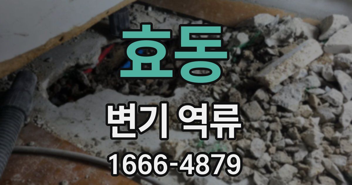 효동 변기 역류