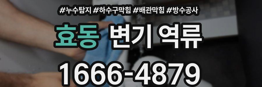 효동 변기 역류
