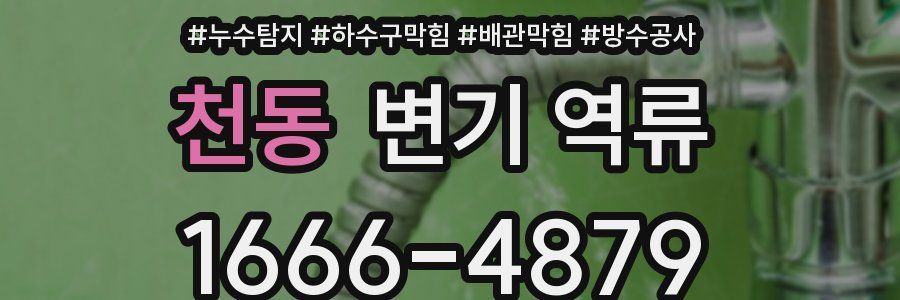 천동 변기 역류