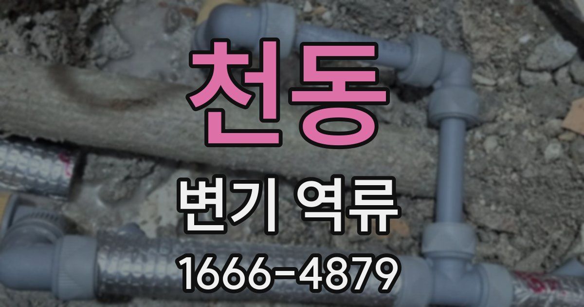 천동 변기 역류