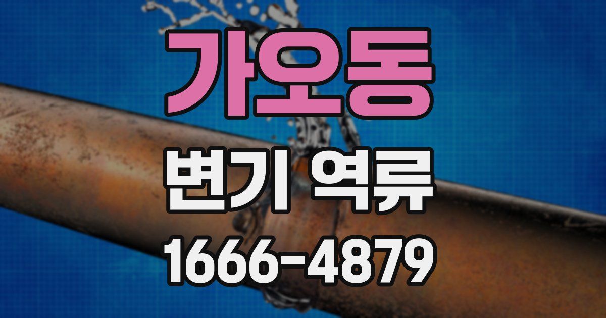가오동 변기 역류