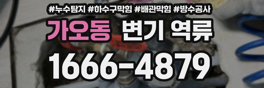 가오동 변기 역류