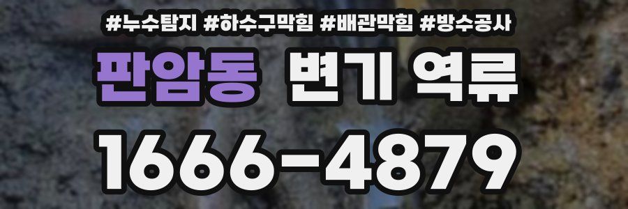 판암동 변기 역류