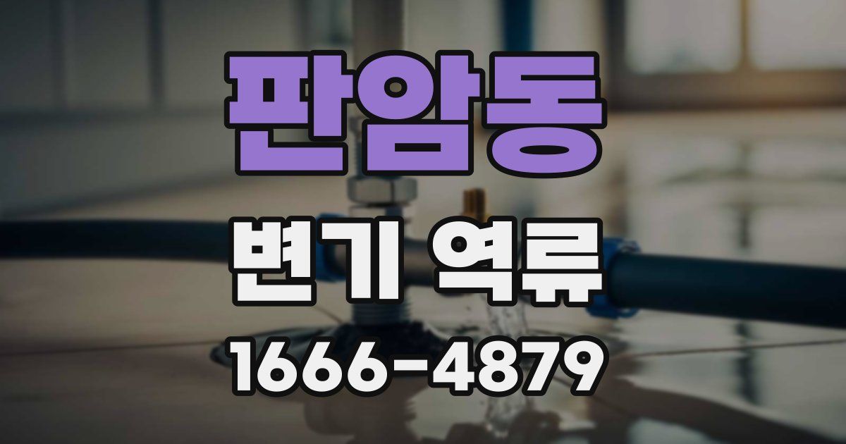 판암동 변기 역류