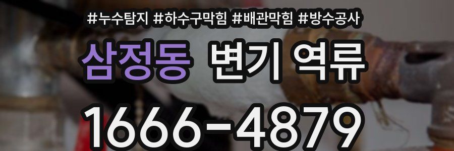 삼정동 변기 역류