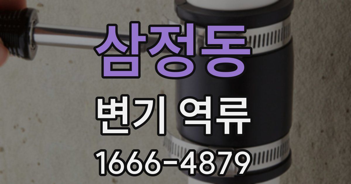 삼정동 변기 역류