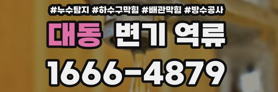대동 변기 역류