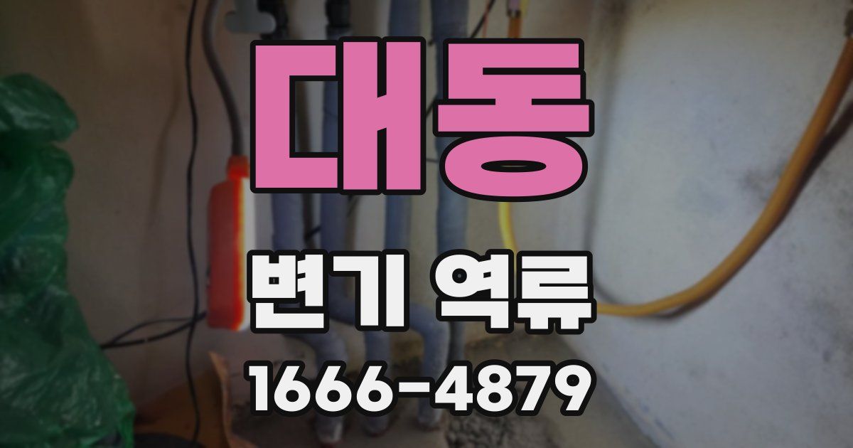 대동 변기 역류
