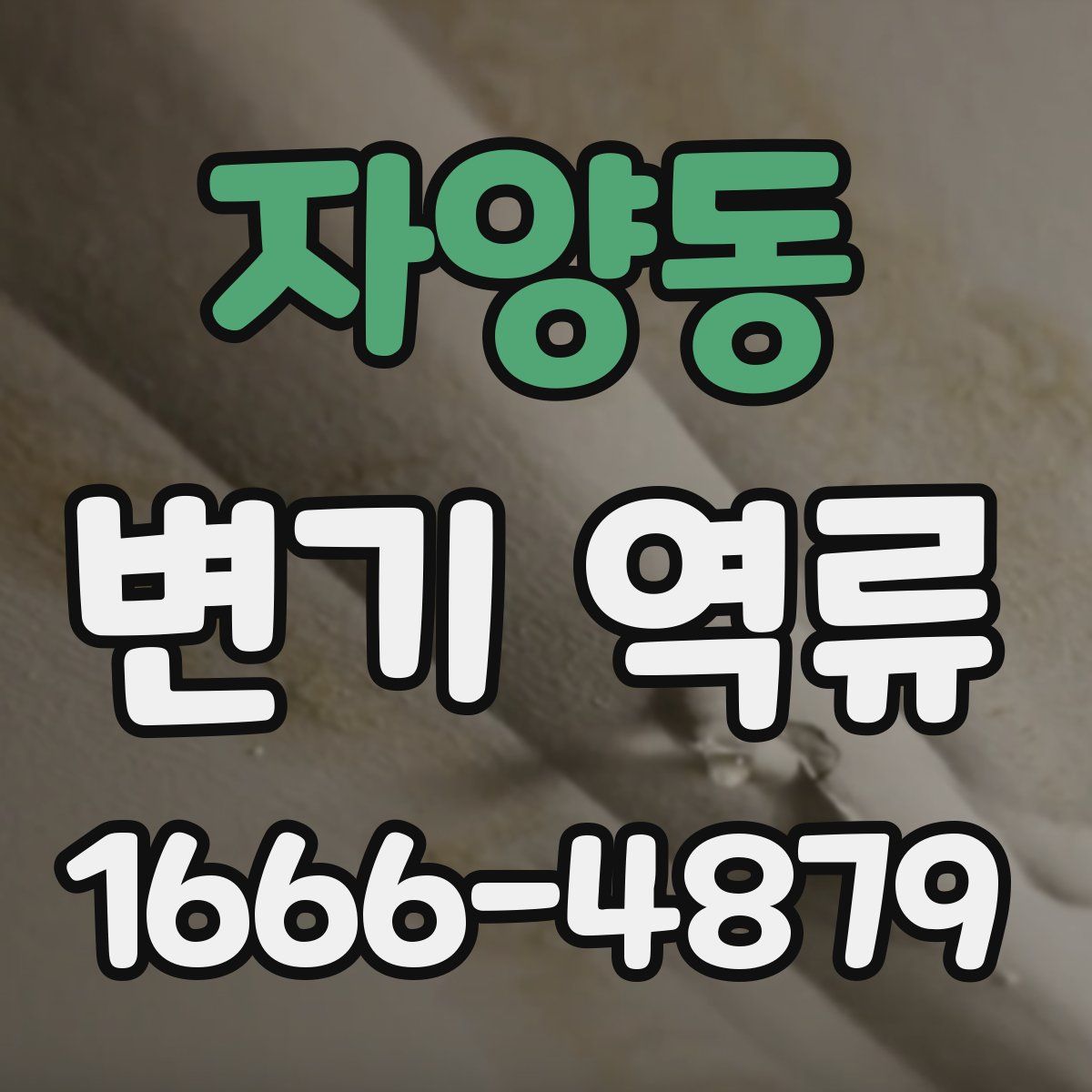 자양동 변기 역류