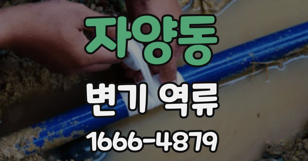 자양동 변기 역류