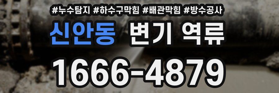 신안동 변기 역류