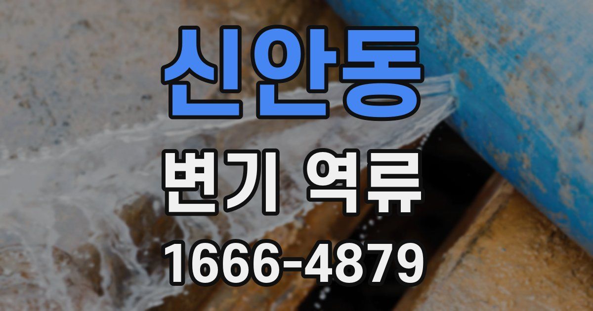 신안동 변기 역류