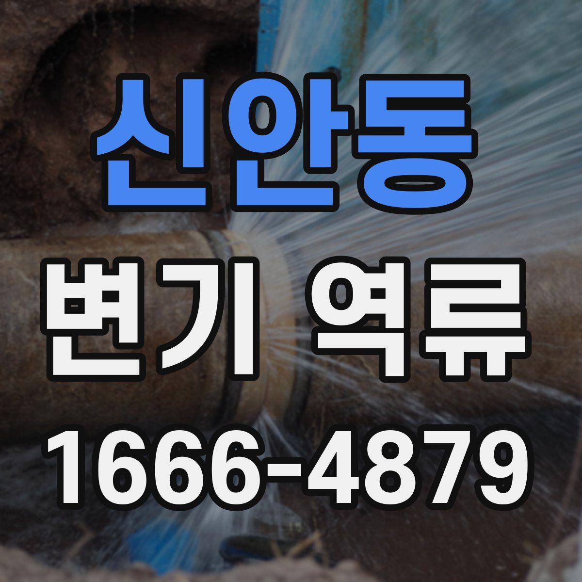 신안동 변기 역류