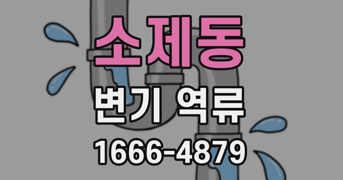 소제동 변기 역류