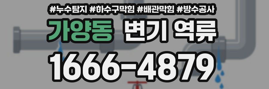가양동 변기 역류