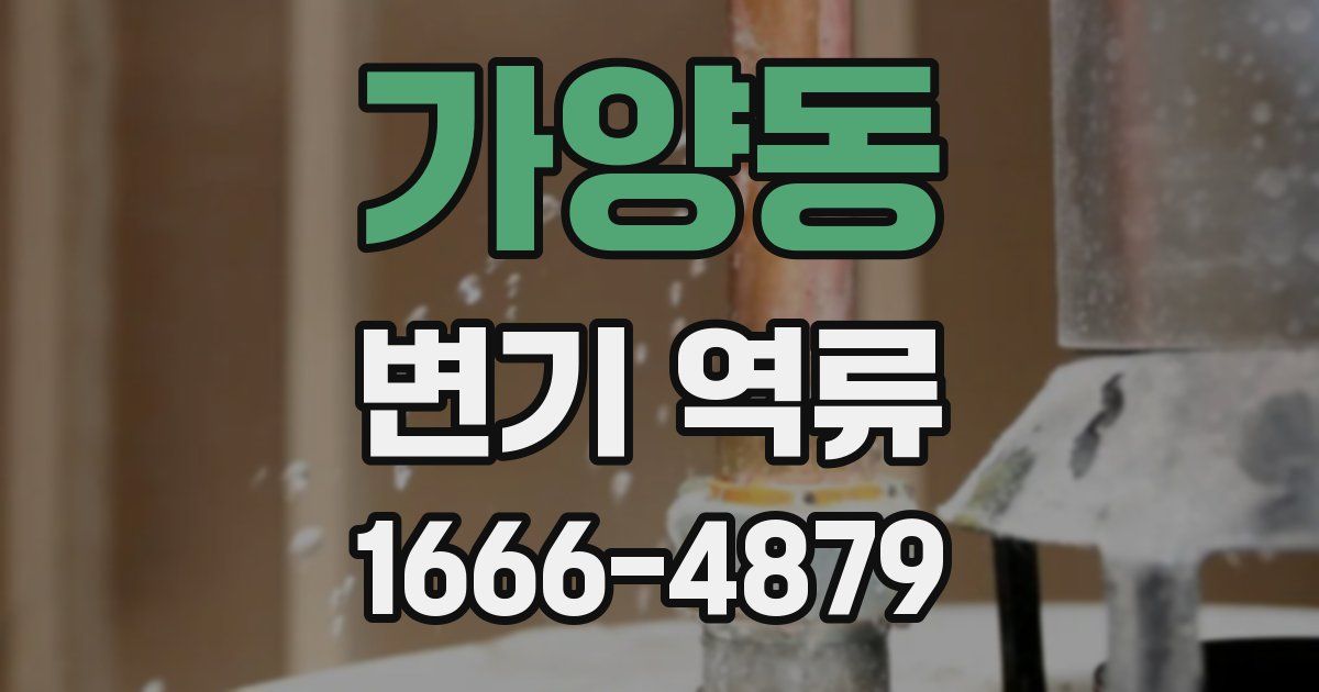가양동 변기 역류