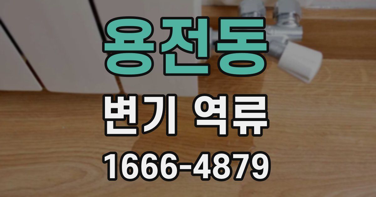 용전동 변기 역류