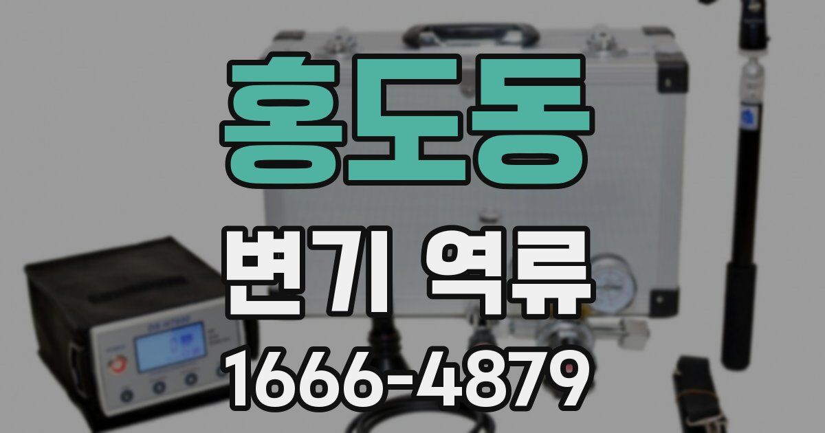 홍도동 변기 역류