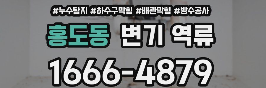 홍도동 변기 역류