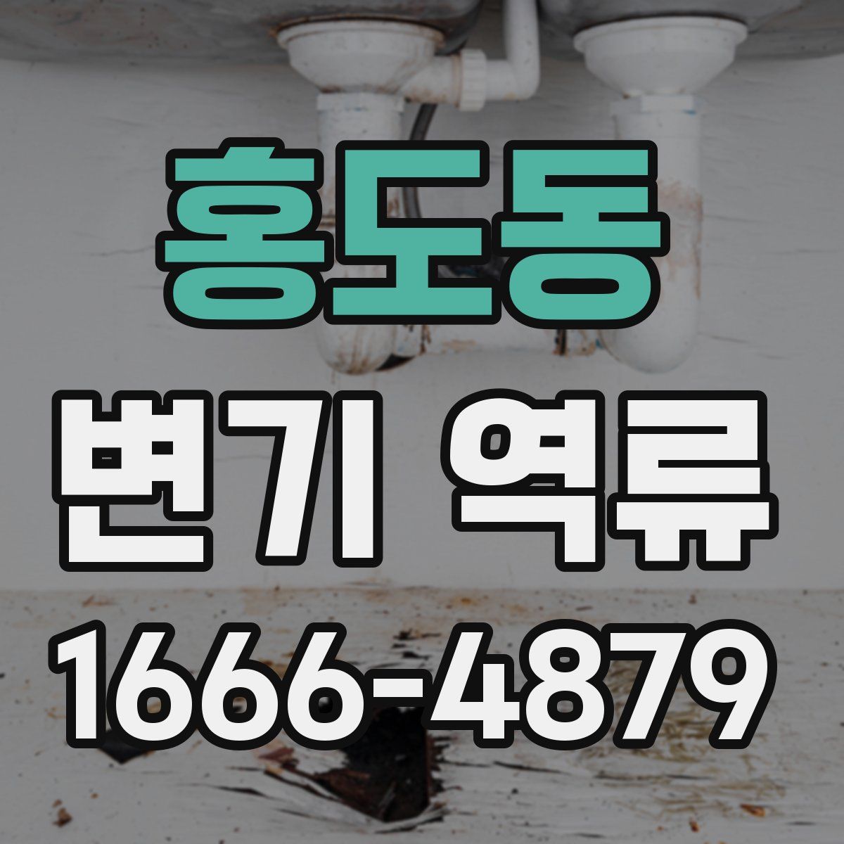 홍도동 변기 역류