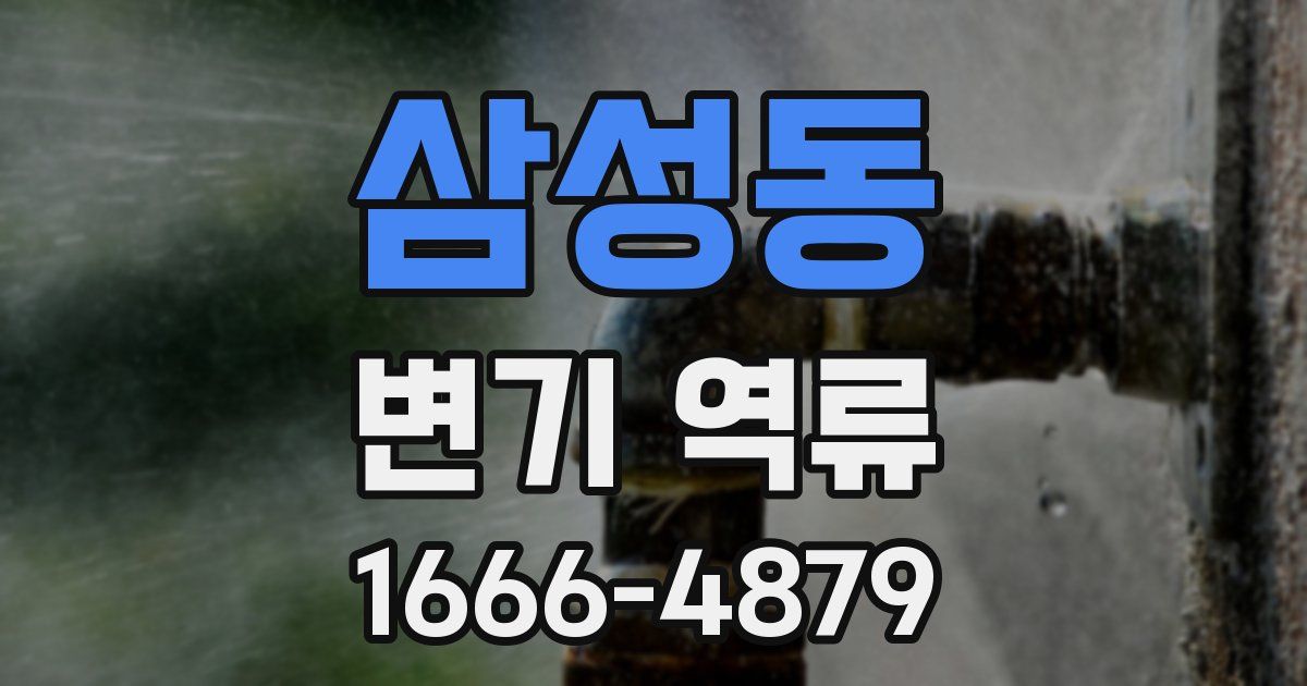 삼성동 변기 역류