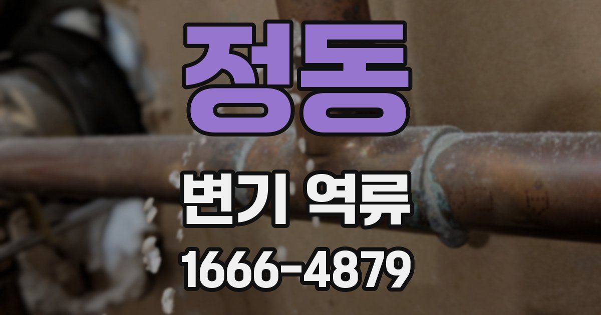 정동 변기 역류