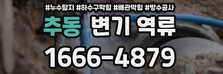 추동 변기 역류