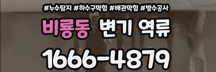비룡동 변기 역류