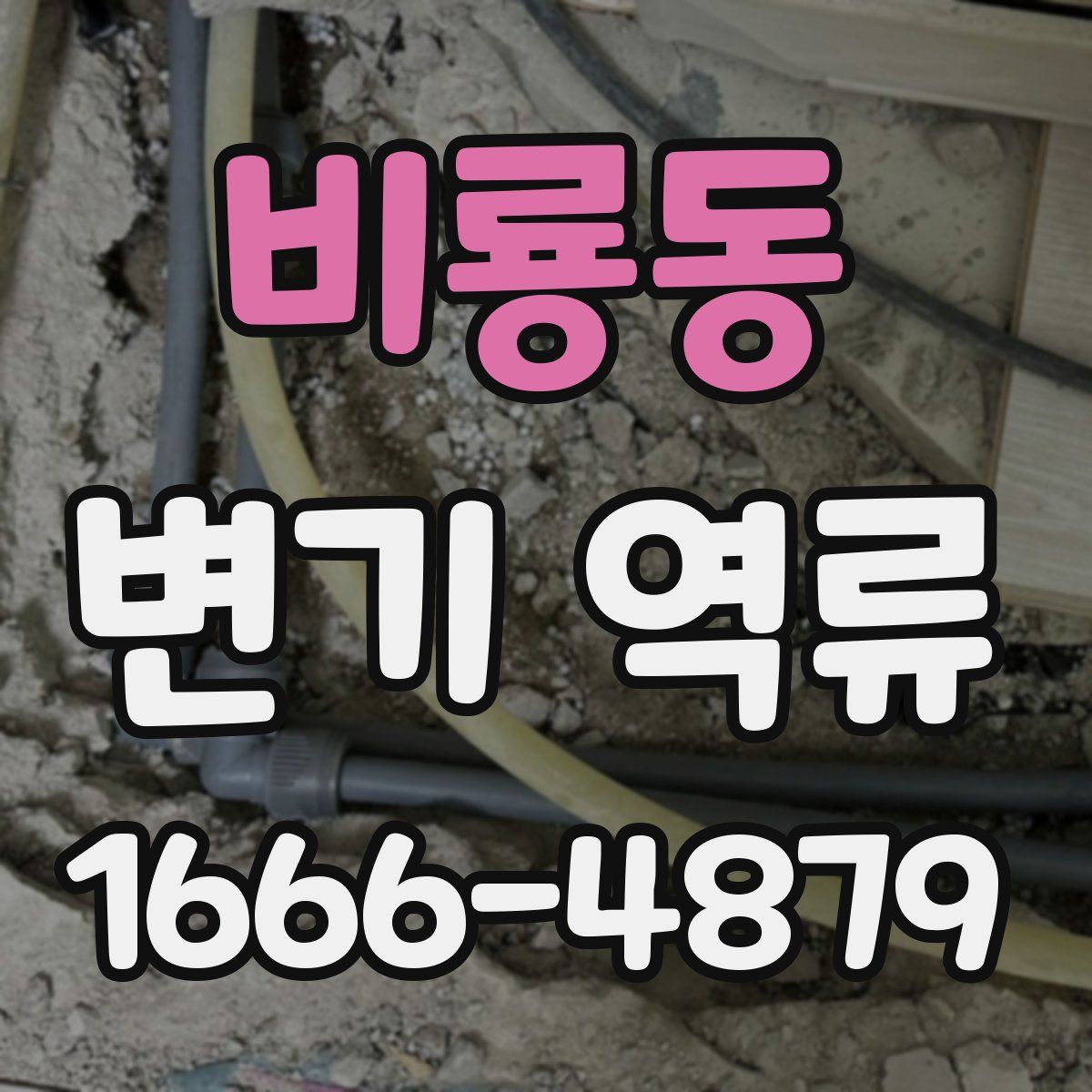 비룡동 변기 역류