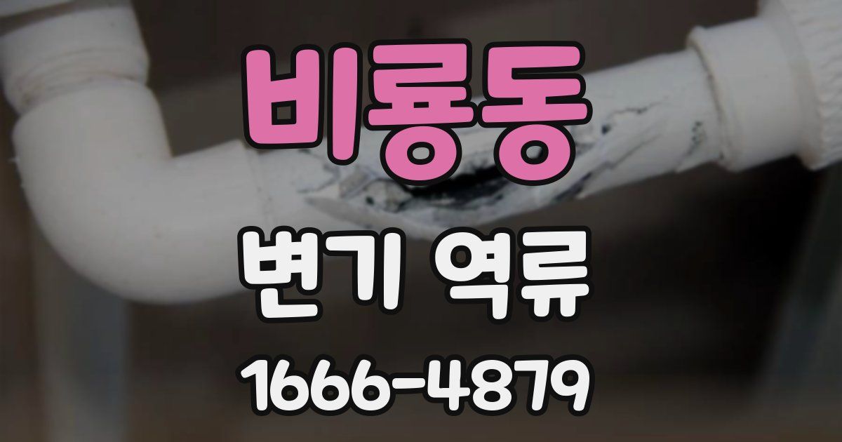 비룡동 변기 역류