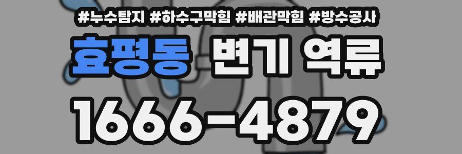 효평동 변기 역류