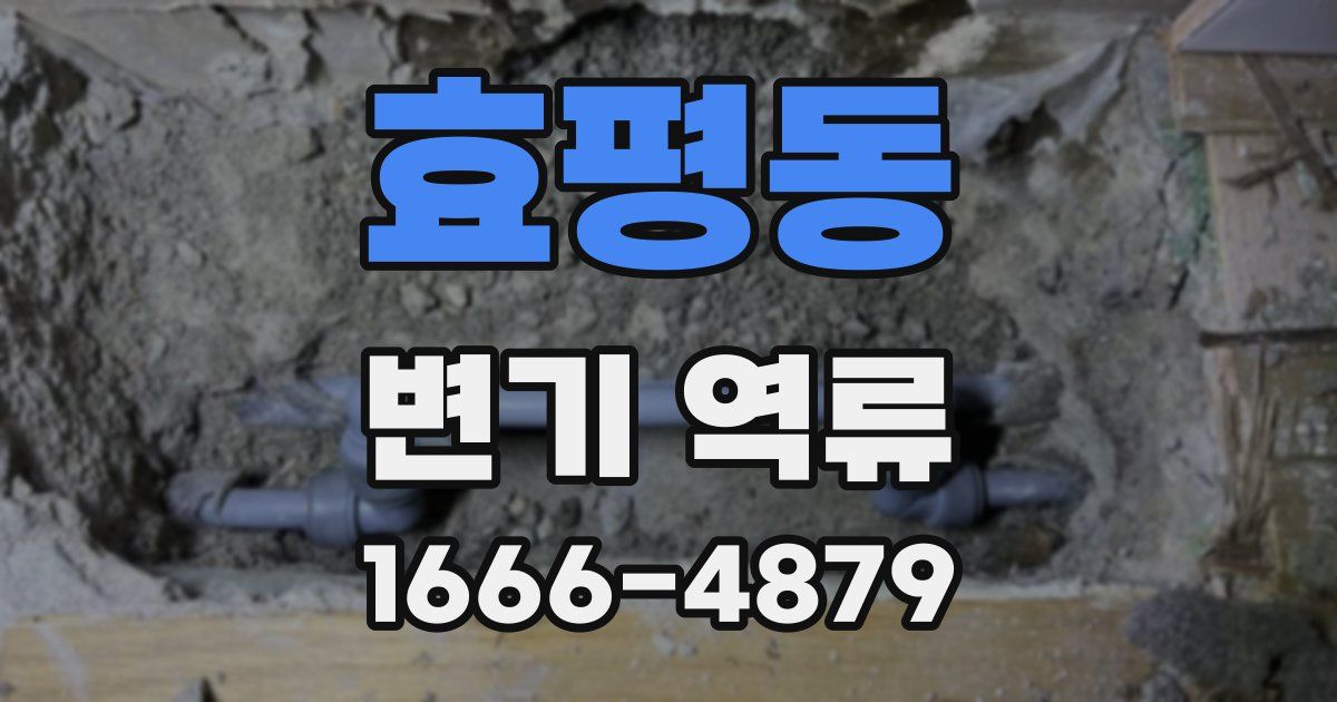 효평동 변기 역류