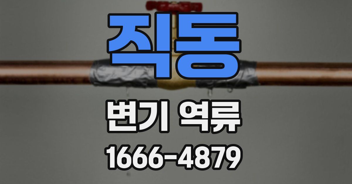 직동 변기 역류