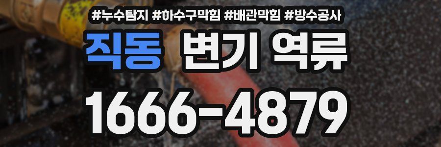 직동 변기 역류
