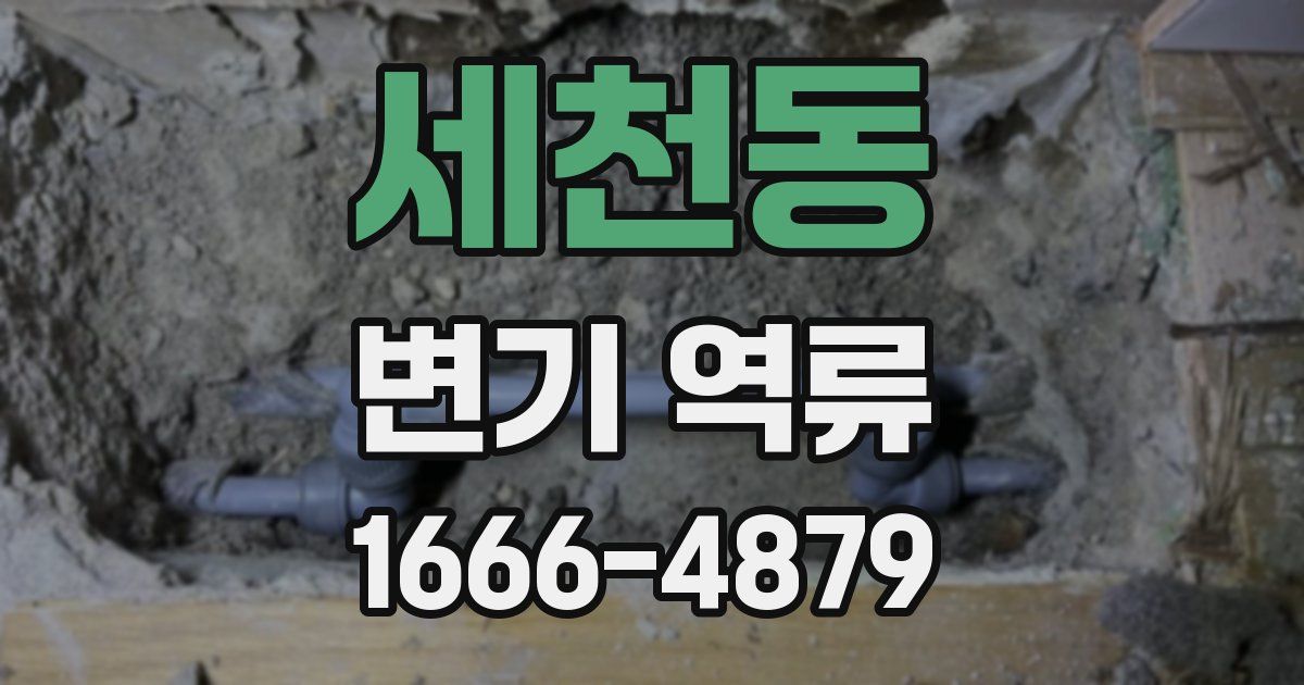 세천동 변기 역류