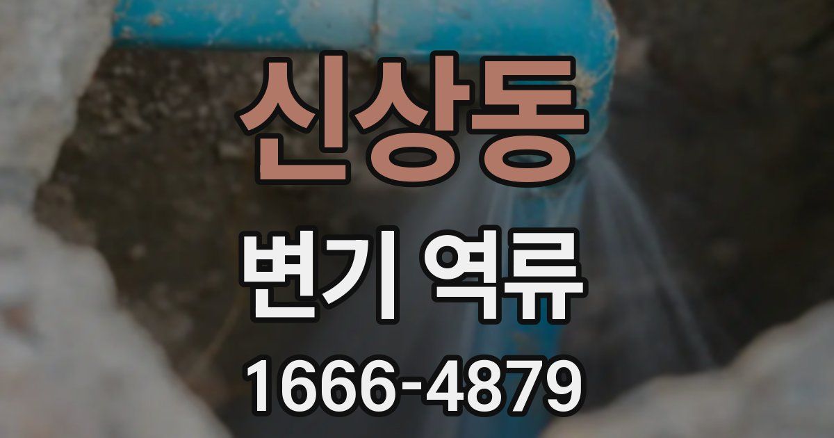 신상동 변기 역류